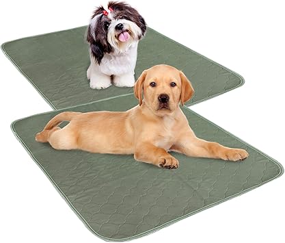 Washable floor mats for dogs Clearance