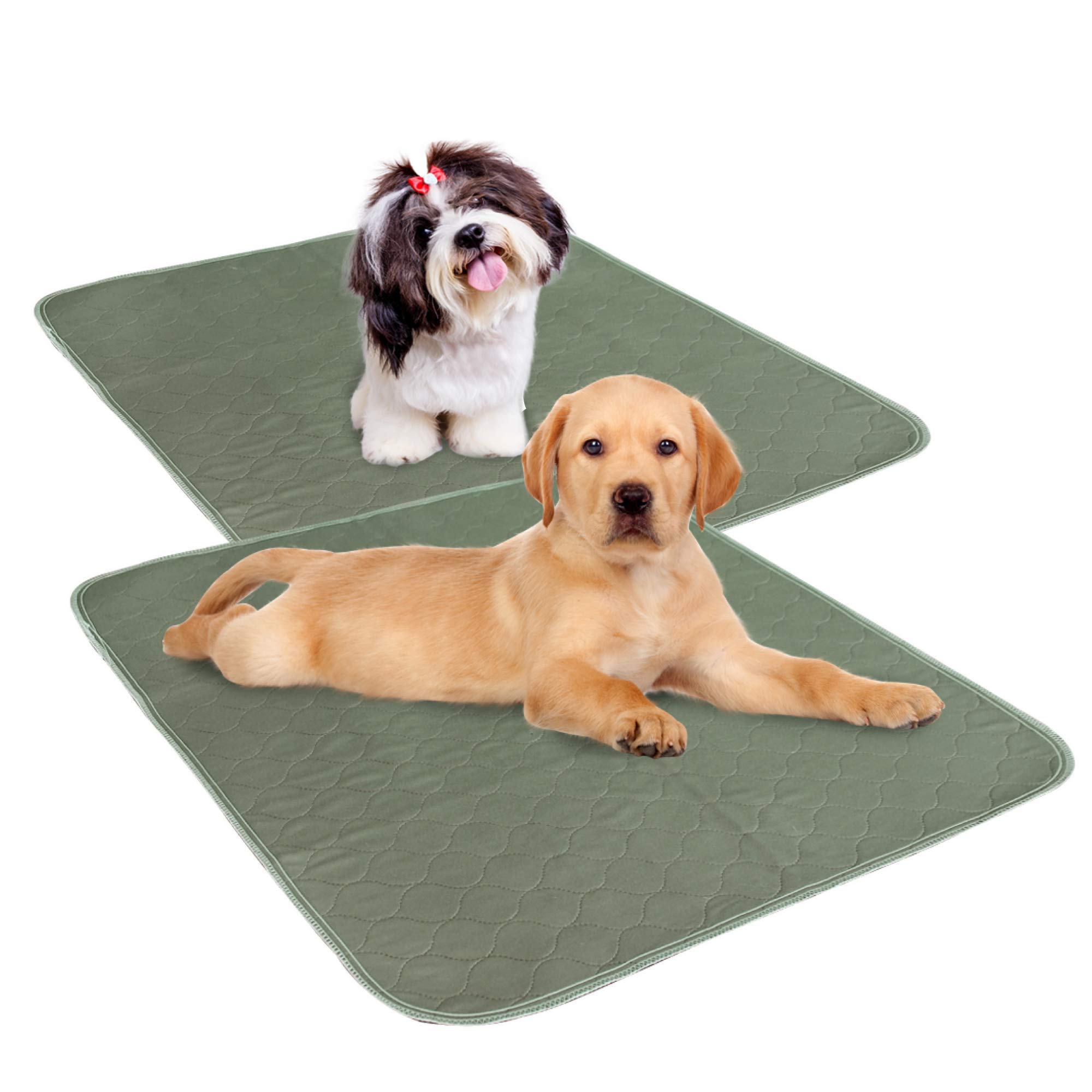 Millie Mats Reusable Dog Training Pads 2 pack anti-slip Discreet | Leak proof | Protect Floors, Car, Crate. Large 70cm x 80cm (28"x31"). Use for Incontinent, Sick Dogs, Senior Pets, Bedwetting