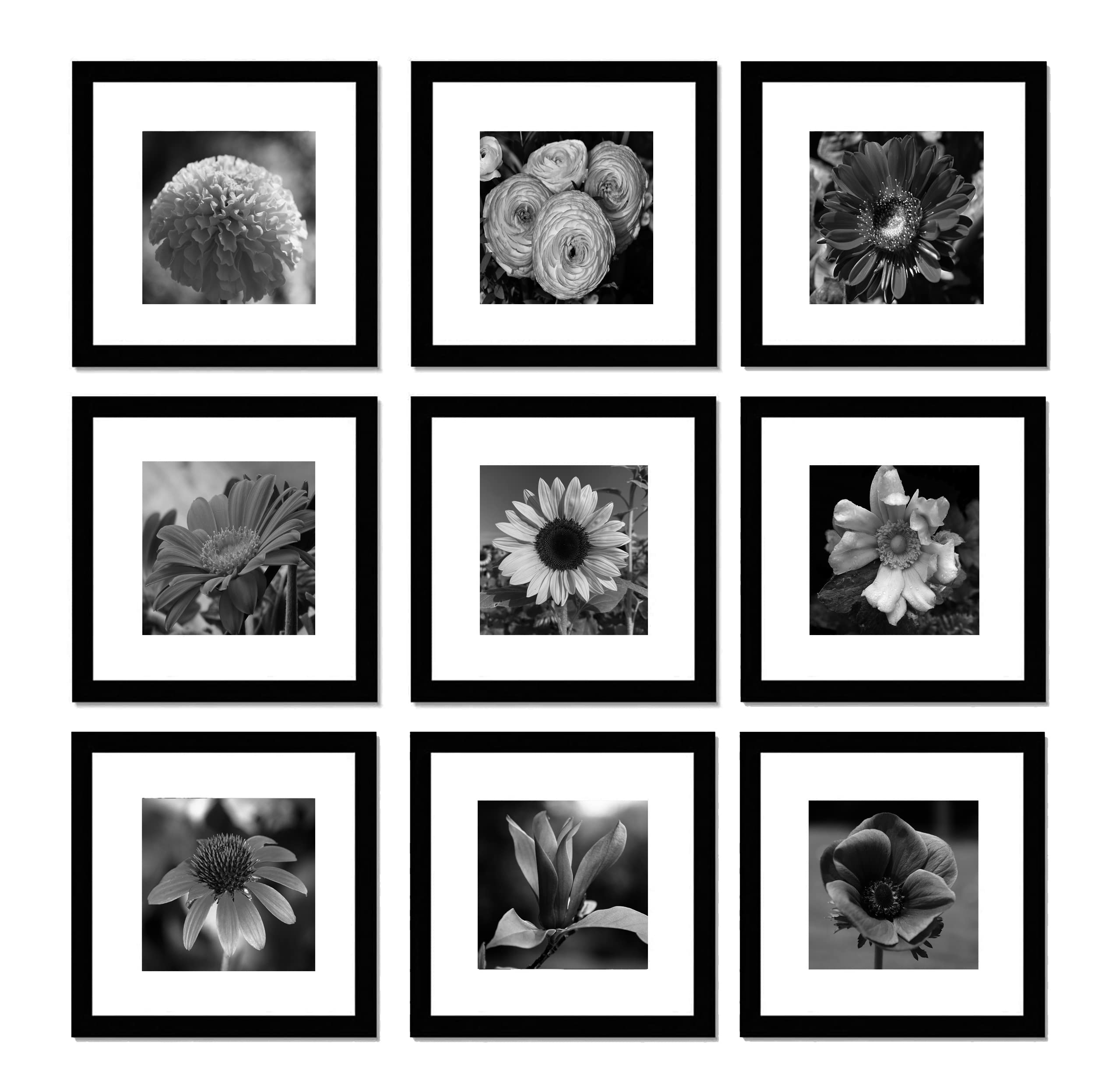 Photo 1 of Pojah Black Picture Frame Set of 9, Square Photo Frame with Mat Display Pictures 8x8 or 12x12 Without Mat, PVC Glass, for Wall Home Office Decor (9pk, Black)