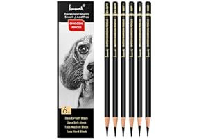 Brusarth Professional Charcoal Pencils Drawing Set - 6 Pieces Soft Medium and Hard Charcoal Pencils for Drawing, Sketching, Shading