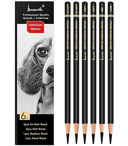 Wolff's Carbon Pencil Set – Crayons Carbone De Qualité Artiste, Mix Graphite & Charbon