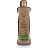 SALERM - Argan Shampoo Biokera Natura - 300 ml - for Damaged Hair - with Argan and Cotton Oil - Deep Hydration - Gentle and Effective Cleaning - Shiny Hair