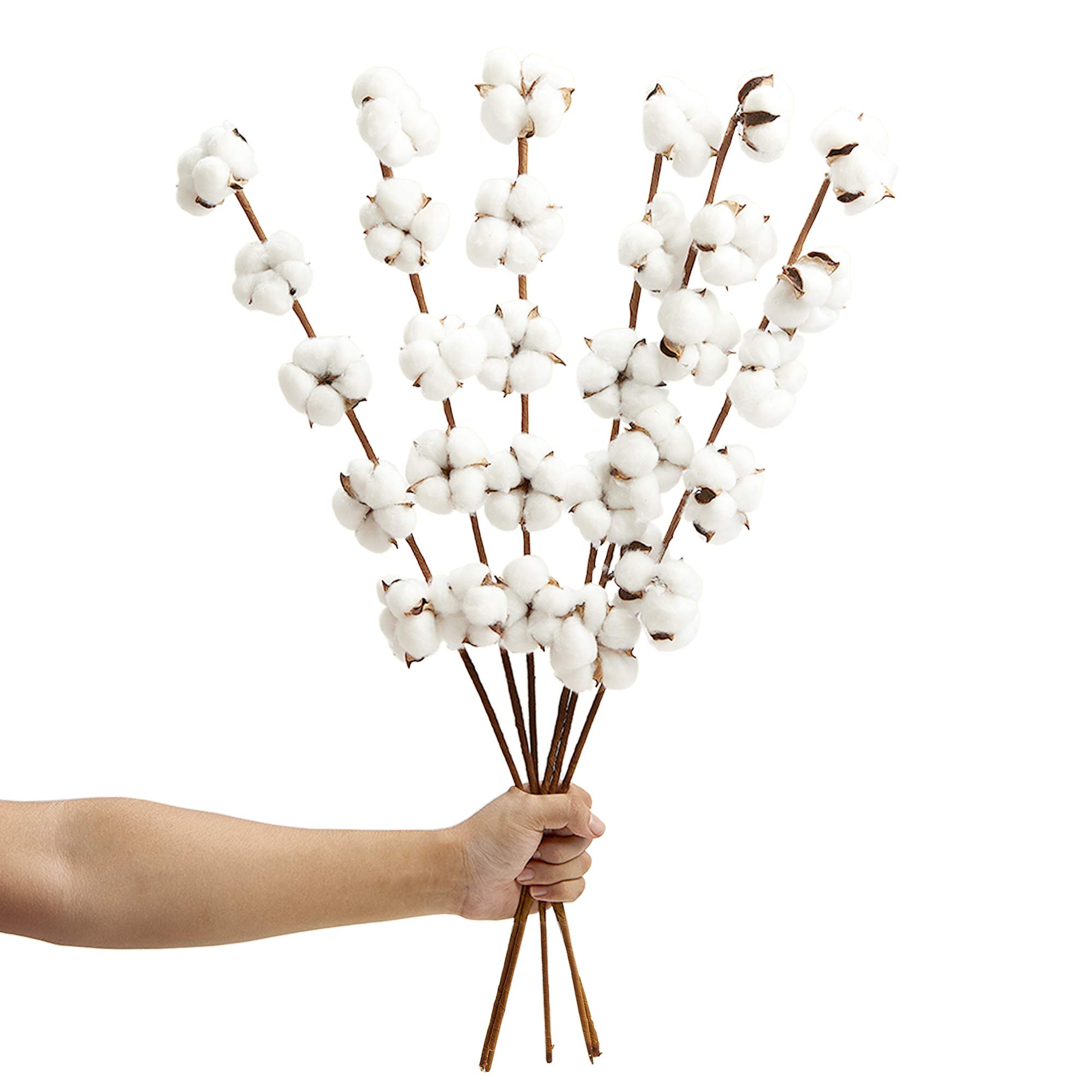 6 Pack 27 inch Cotton Stems Farmhouse Decor Rustic Style Vase Filler