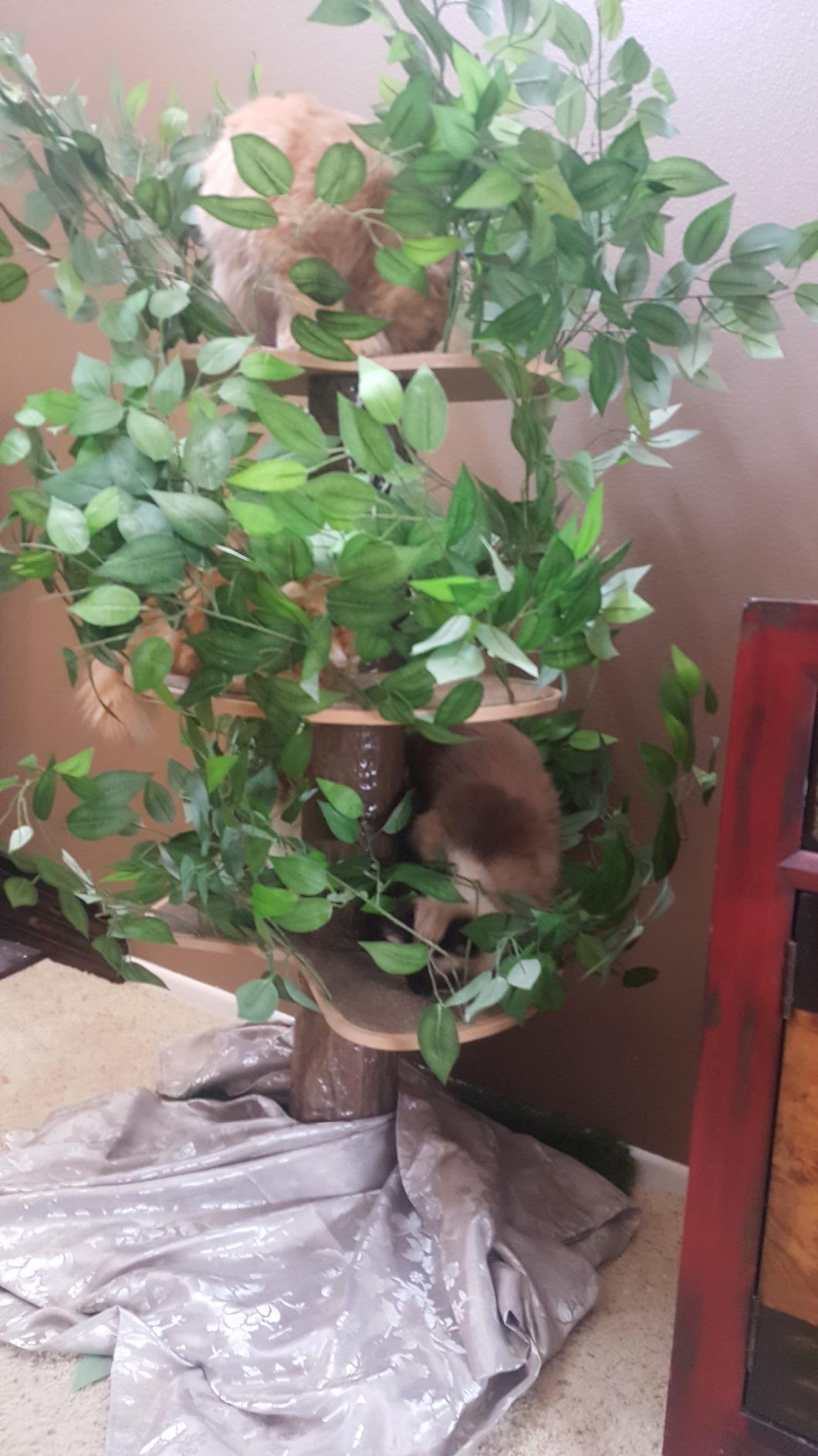 16/mo Finance On2Pets Cat Condo Furniture (Square Base, Large) Buy