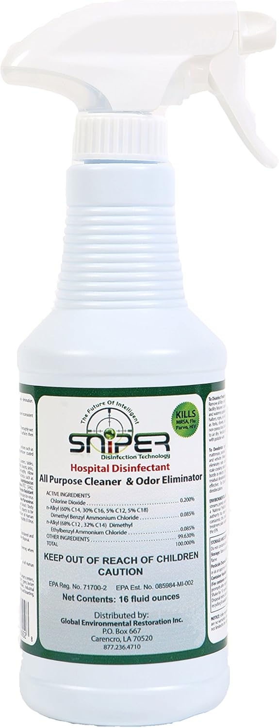 Best Professional Carpet Cleaning Houston