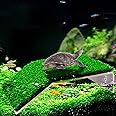 Turtle Basking Platform Lawn Turtle Resting Basking Platform Simulation Grass Turtle Ramp Turtle Ramps Tortoise Habitat Turtle Terrace Turtle Tank Accessories