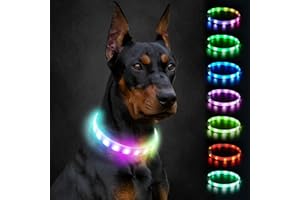 Joytale Light Up Dog Collar, Rainproof and Rechargeable LED, 9 Flashing Modes, Glow for Night Walking, Cuttable Soft Silicone Collar for Large Medium Small Dogs, 27.5 Inch