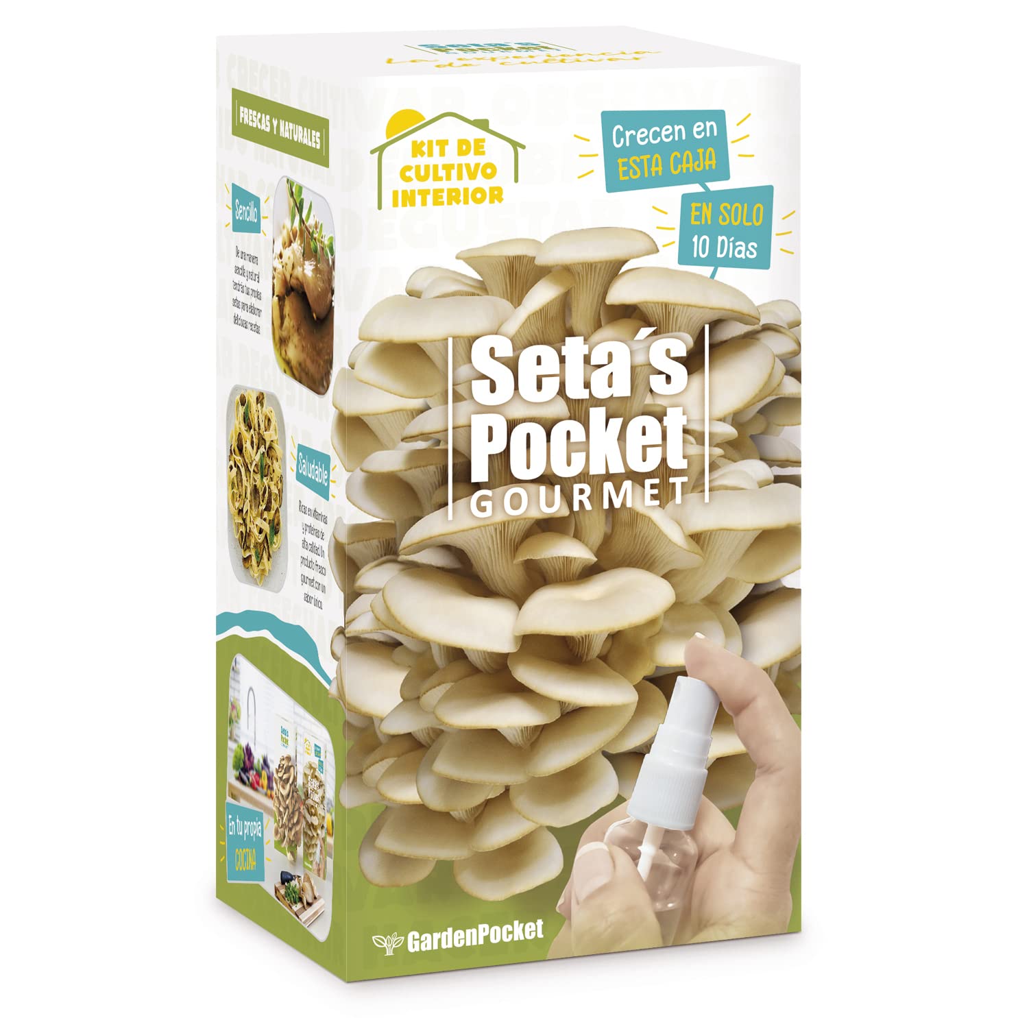 SETAS POCKET - SELF-CULTIVATING MUSHROOMS - Grow mushrooms at home in just 10 days.