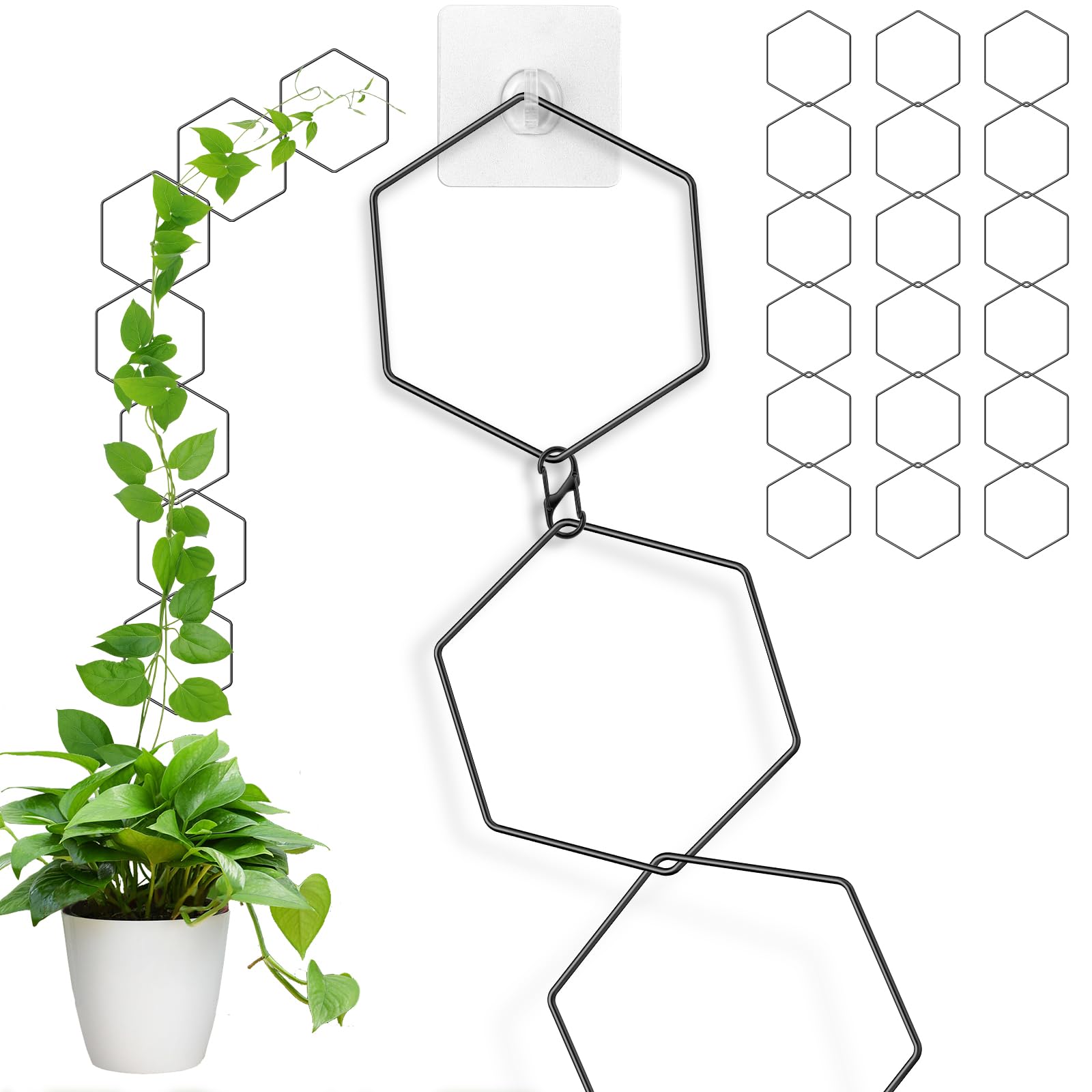 Photo 1 of Chain Trellis for Climbing Plant, 3 Pack 18PCS Indoor & Outdoor House Climbing Plant Support Accessories 7.5ft DIY Garden Wall Trellis for Monstera Pothos Ivy Vine Houseplant