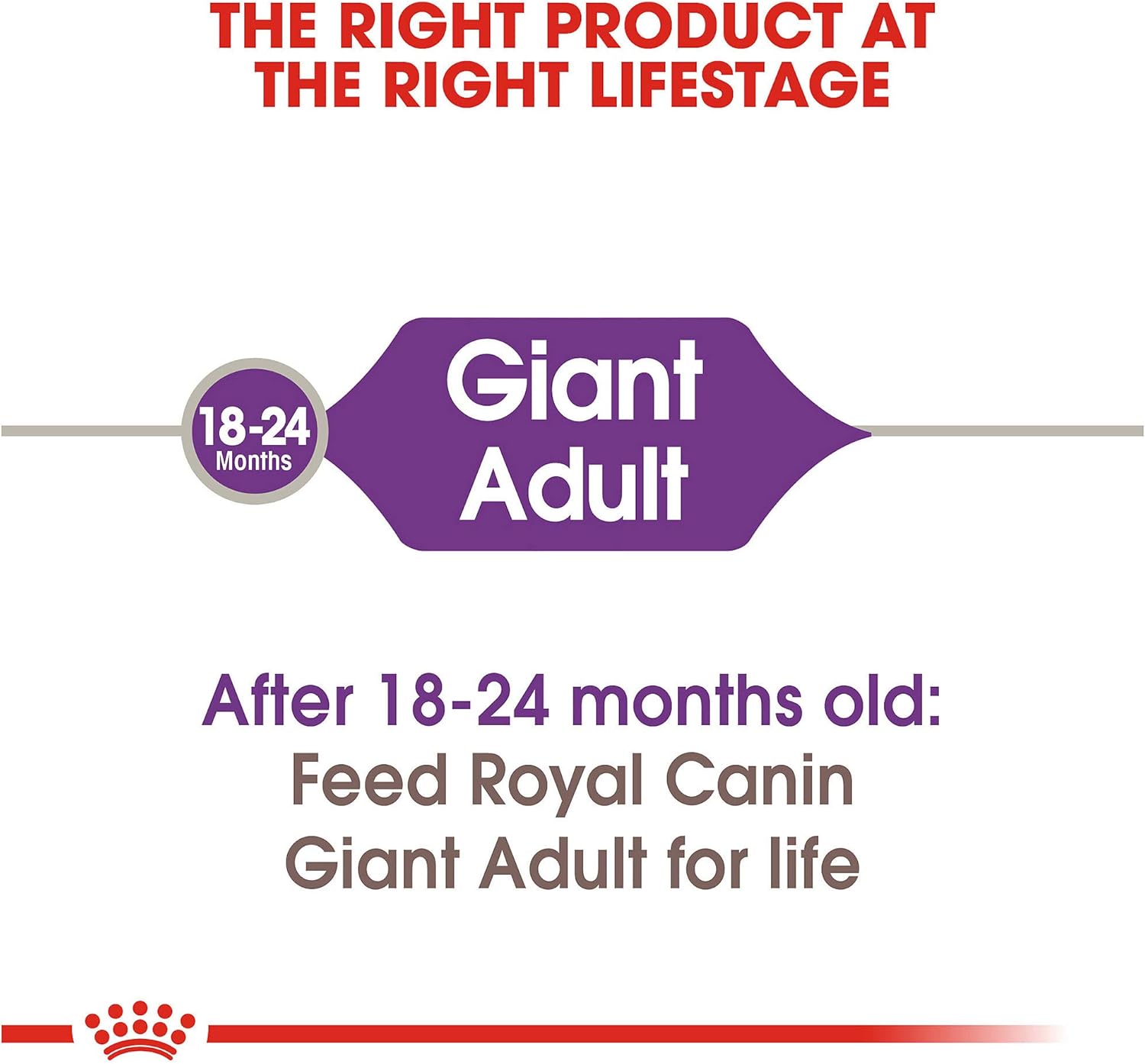 royal canin adult giant