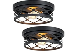 XPEHK 2 Pack Flush Mount Ceiling Light,Farmhouse Light Fixtures Ceiling,2-Light Black Flush Mount Light Fixture for Kitchen E