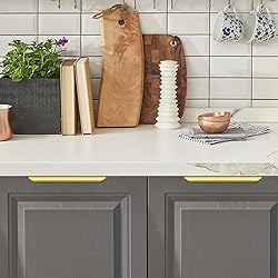 Ravinte 10 Pack Finger Pulls for Cabinets