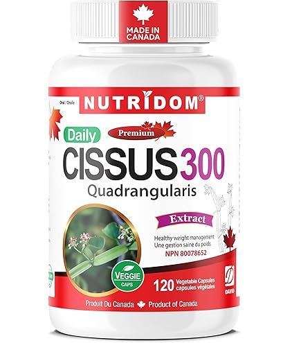 Extrait De Cissus Quadrangularis En Poudre 20:1 - 500g - Qualité Naturelle - Fabriqué En Inde