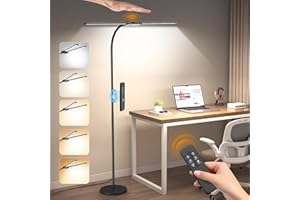 Syrinx LED Floor Lamp with Dual Head for Living Room,Gooseneck Tall Standing Lamp with Remote Control & Gesture Switch,18W Br