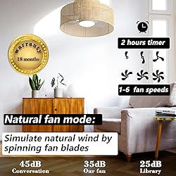 22” Bamboo DC Dimmable Ceiling Fan with Light and