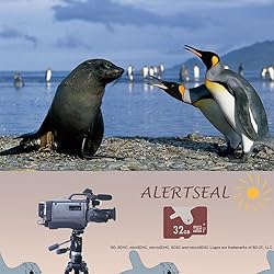 ALERTSEAL 32GB microSD Class 10 FAT32 Memory Card