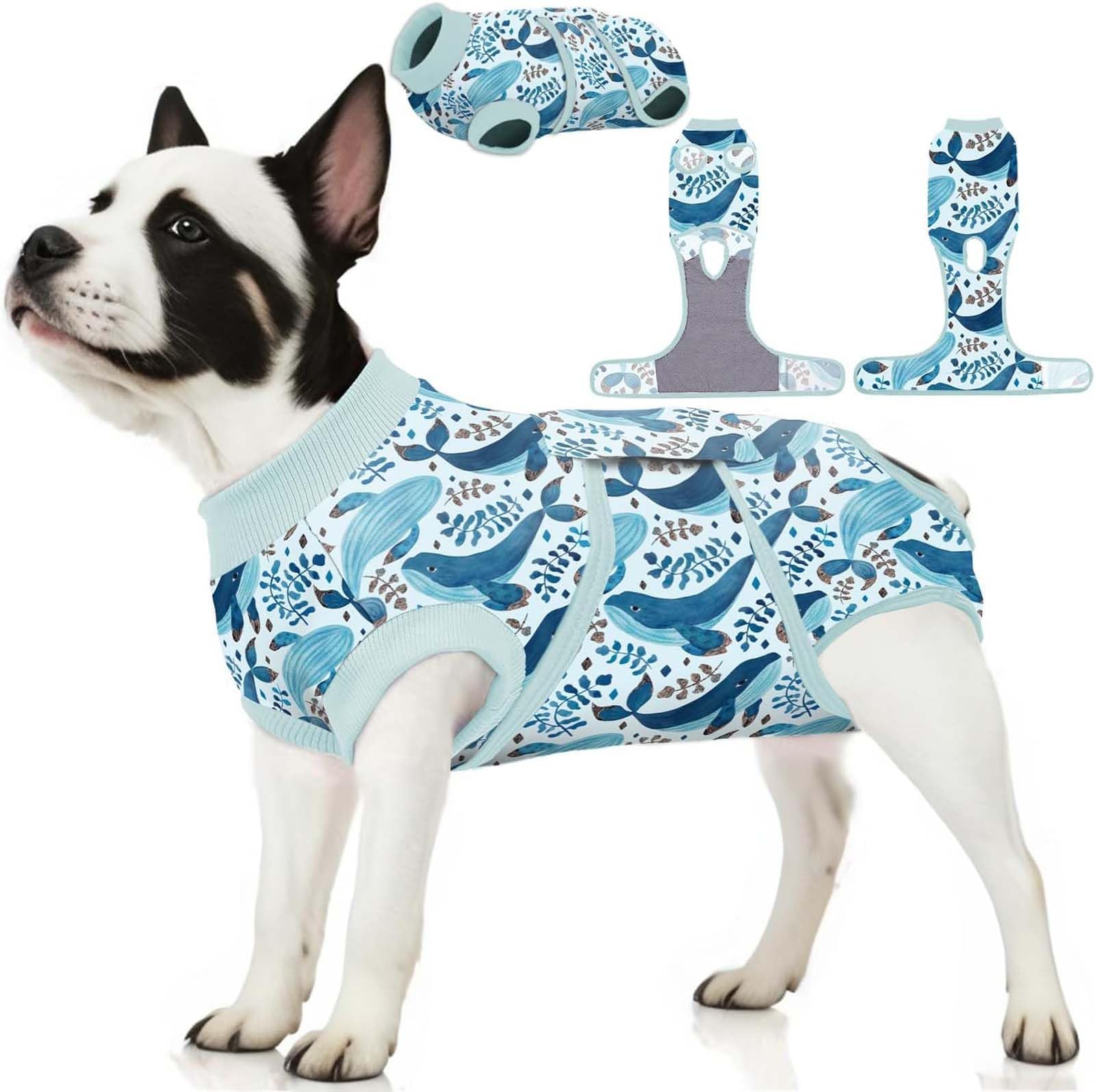 Photo 1 of PetWarm Surgical Suit for Male Dogs After Neuter, Dog Surgery Suit, Cone of Shame Alternatives, Dog Surgical Recovery Onesies Female Male Dogs, Marine Animal Patterns, Blue, XS