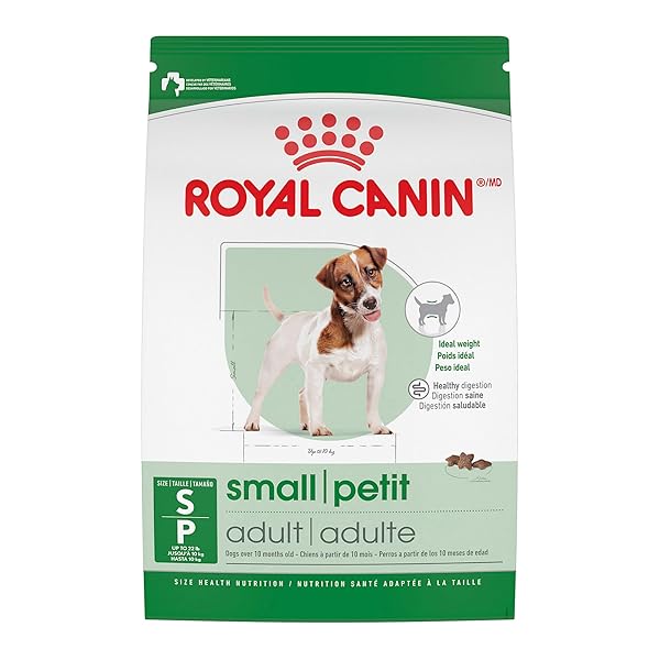 ROYAL CANIN SIZE HEALTH NUTRITION SMALL ADULT DRY DOG FOOD, 4 LB