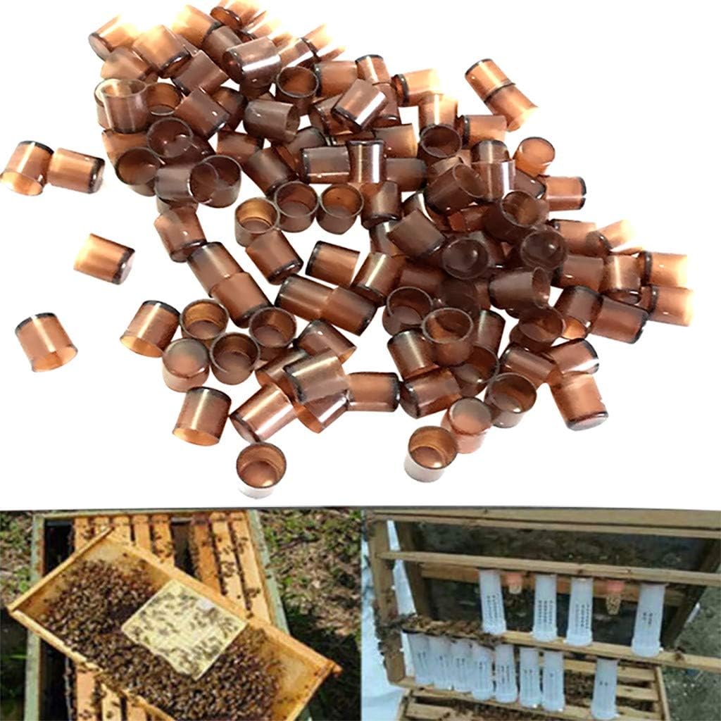 BaoFu 120 Pack Complete Queen Rearing Cell Cup,Bee Keeper Tool Set (120)