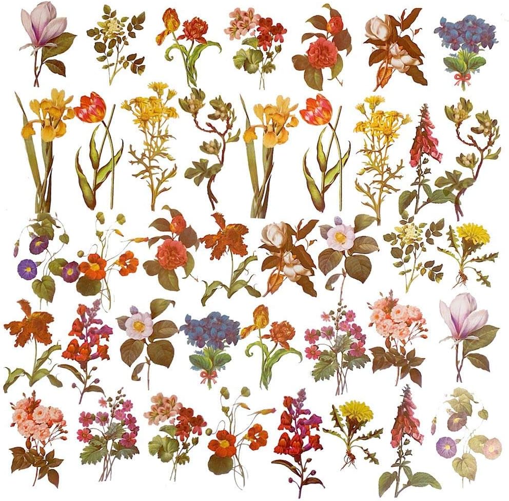 amazoncom vintage flowers and plants stickers doraking 40pcs peel