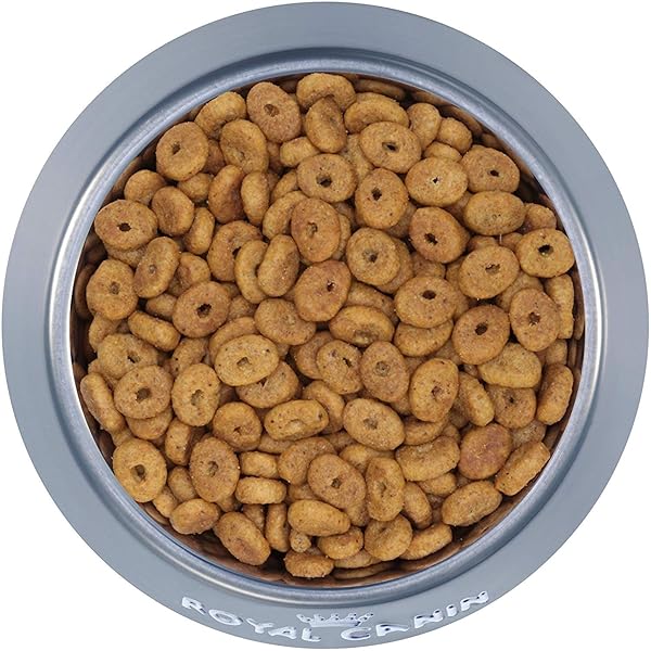 ROYAL CANIN APPETITE CONTROL SPAYED/NEUTERED DRY ADULT CAT FOOD, 6 LB BAG