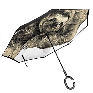 Amazoncom Car Reverse Umbrellasweetly Smiling Jungle