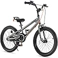 RoyalBaby Kids Bike EZ Balance to Pedal Dual Handbrake Toddlers Boys Girls Bicycle 12-20 Inch for Age 3-10 Years