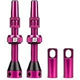 BWSHLF Tubeless Presta Valve Stem