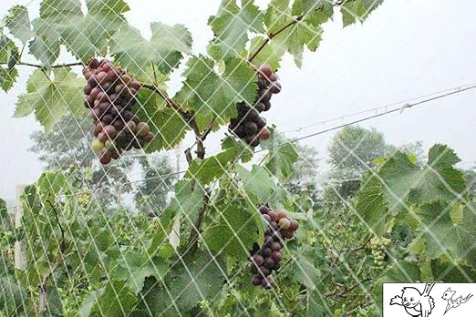 Heavy Duty pájaros – proteger jardín plantas y árboles frutales ...