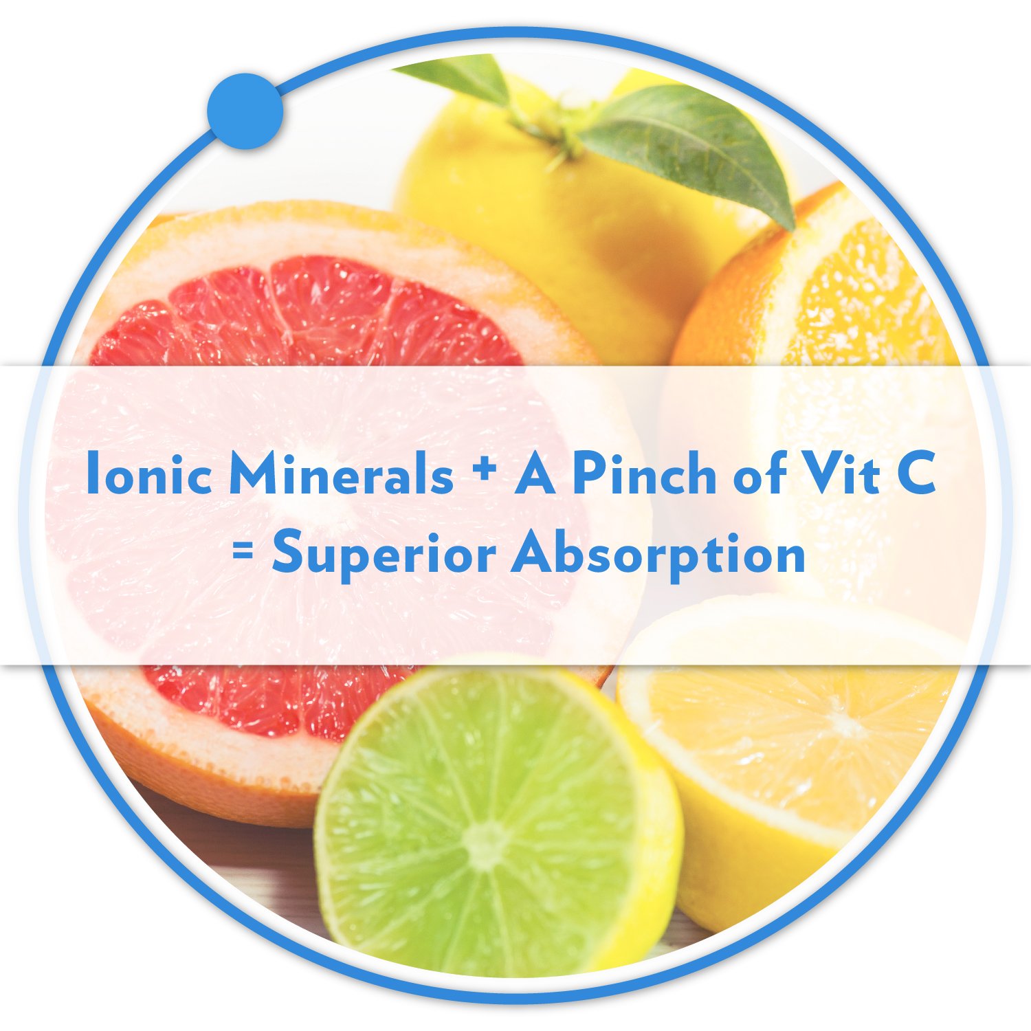 BodyBio Liquid Mineral Test Kit Buy Online in UAE. Hpc Products in the UAE See Prices