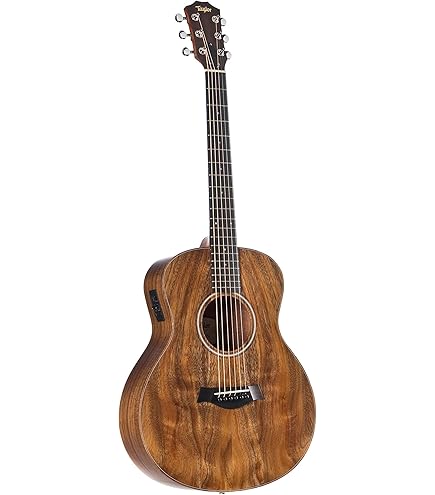 Taylor アコースティックギター　GS-mini PU・ケース付き ミニギター: GS Mini シリーズ | Taylor Guitars