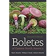 Boletes of Eastern North America, Second Edition