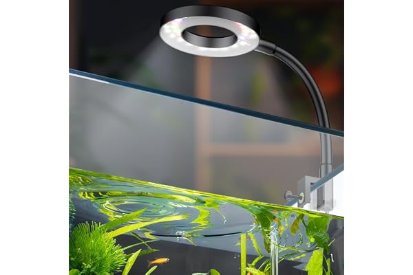 Pawfly 6 W LED Aquarium Light for 1 to 5 Gallon Fish Tanks Clip On Fish Tank Light USB Moving Aquarium Lamp with Full Spectru