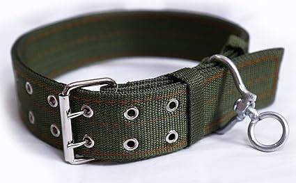 dog collar belt online