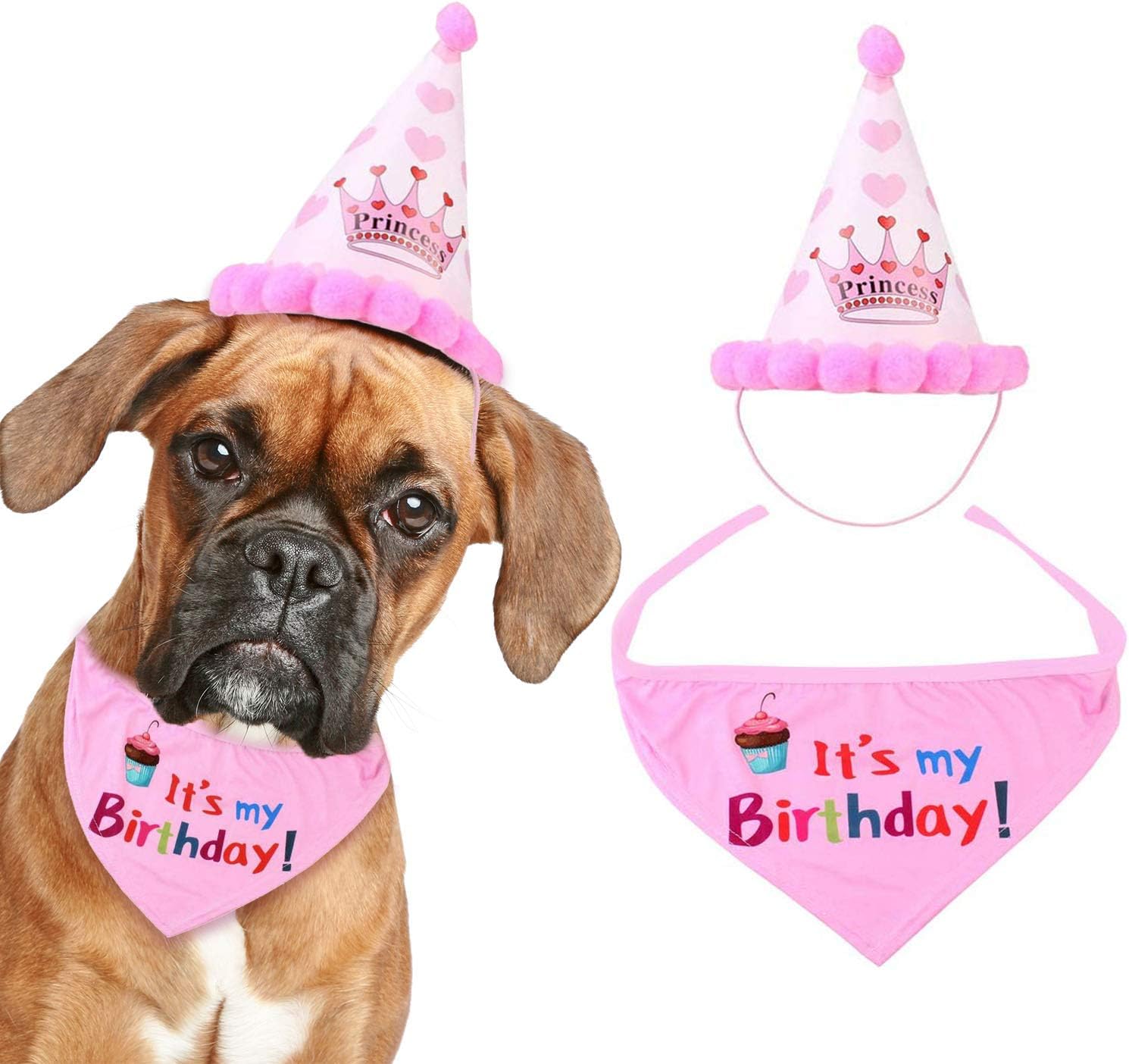 dog birthday scarf