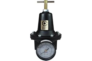 Coilhose Pneumatics 8804GH Heavy Duty Series Regulator, 1/2-Inch Pipe Size with Gauge and High Pressure Spring (0-200 PSI)