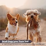 Newthinking No Stuffing Dog Toys 5 Pack Durable Plush Squeaky Toys view 5