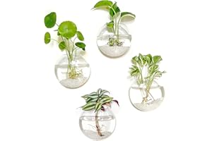 Kingbuy Wall Hanging Glass Planter Propagation Station - 4 Pack Oblate Globe Wall-Mounted Vases for Indoor Hydroponic Air Plants Bathroom Living Room Office Decor Gift for Women, Mom, Plants Lovers