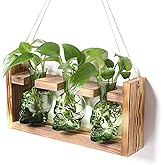 Plant Terrarium Propagation Stations Hydroponics Halloween Skull Planter Vase Skulls Decor with Wooden Stand Gift for Father