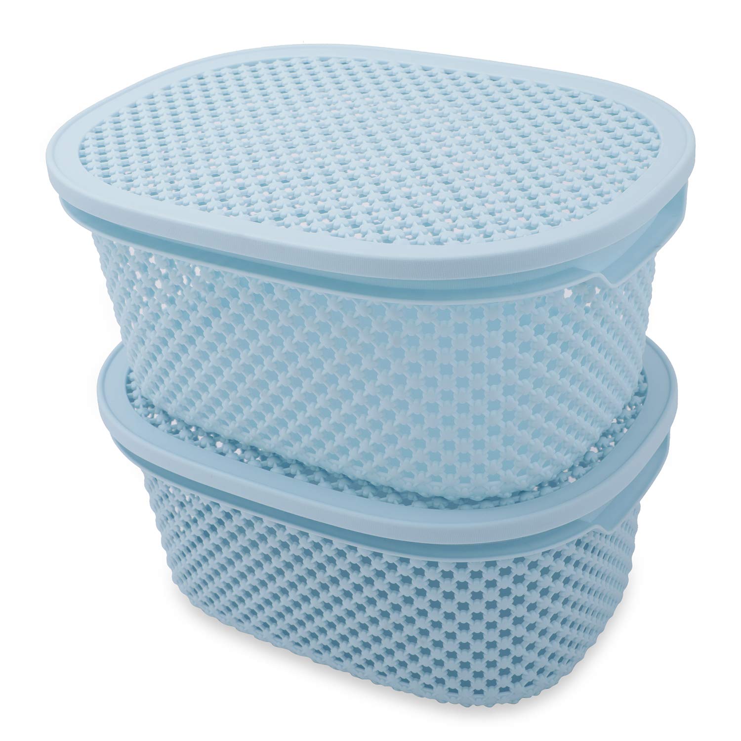 NFI essentials Plastic Multipurpose Storage Basket with Lid (Set of 2