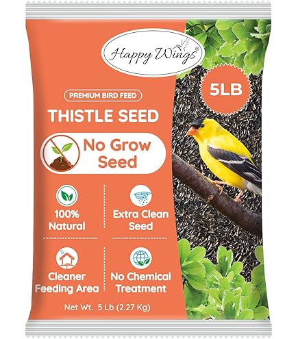 What Bird Seed Attracts Orioles: Top Picks to Lure These Birds