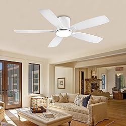 Ayaoty Ceiling Fans with Lights, 52 inch Low