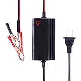 pedal generator battery charger