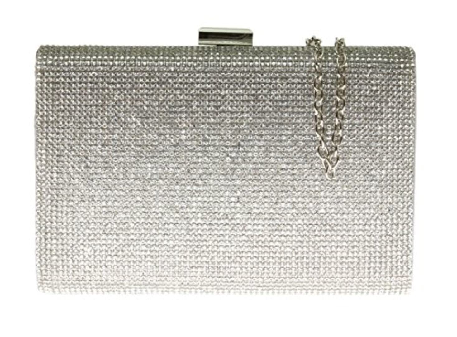 Girly Handbags Womens Shimmer Satin Hard Case Clutch Bag Evening Party Wedding Handbag - Silver