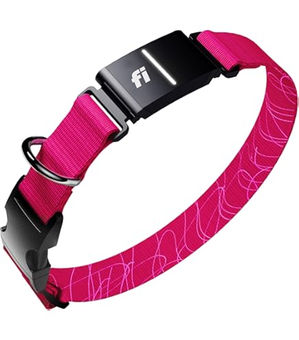 Amazon.com: Wearable4U Garmin T 5X Dog Device, Tracking and
