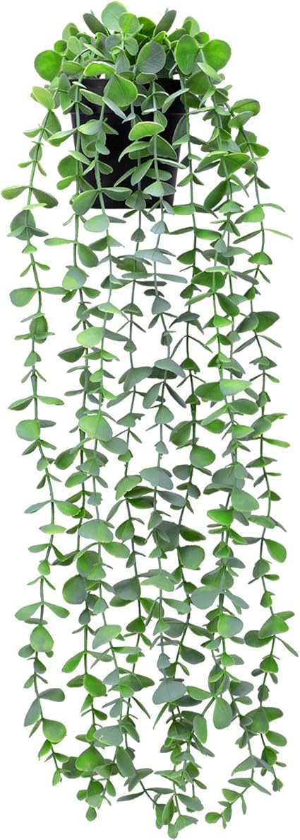 Amazon Funarty フェイク植物 人工ハンギングユーカリ植物 鉢植え ユーカリの植物 黒い鉢付き 家庭 屋内 屋外の装飾に 人工観葉植物 オンライン通販