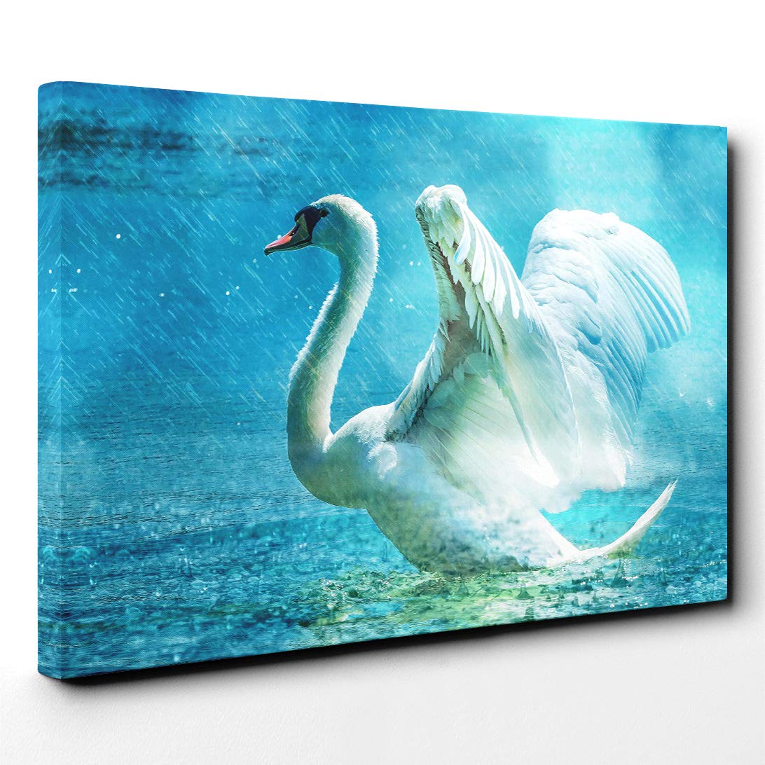 White Swan on a Lake (2) Canvas Print | Gallery Wrapped 30mm Frame Wall Art | 20x14 inches | Ready to Hang | Modern Landscape Picture | Living Room Bedroom Lounge Office