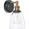 Linea di Liara Fiorentino Black and Gold Wall Sconce Lighting Fixture Farmhouse Bathroom Wall Sconce Bedroom Wall Lighting and Hallway Wall Light with Clear Glass Shade, LED Bulb Included, UL Listed