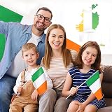 AhfuLife Irish Flags on Sticks 15 Pcs Hand Held Flags Ireland Party Decor view 5