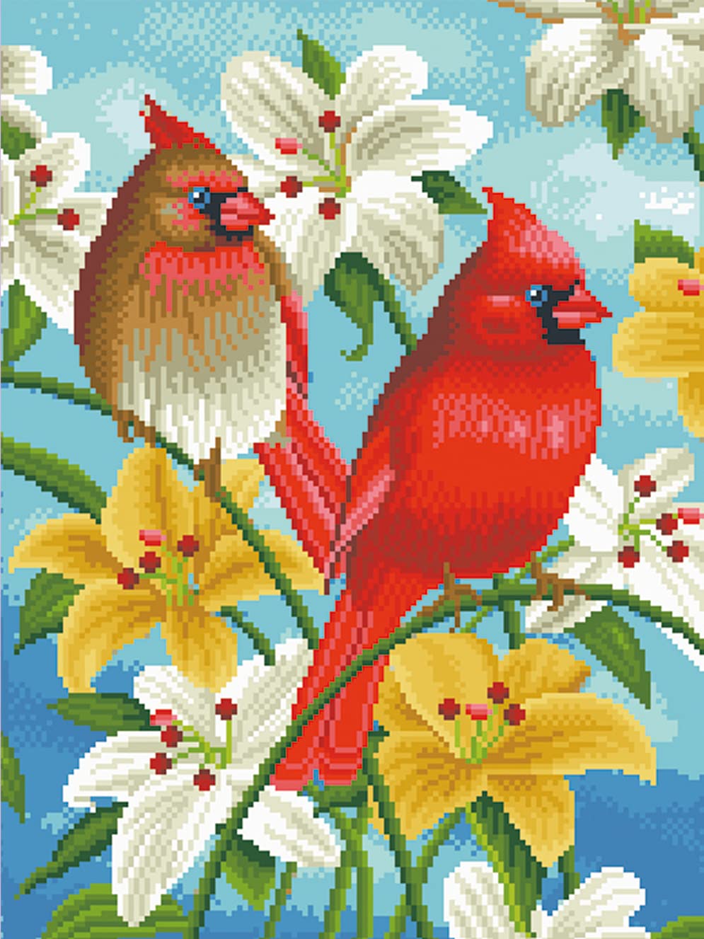 Cross Stitch Kits Stamped, OWN4B Birds and Flowers Printed Pattern 11CT 14.2x18.1 inch DIY Embroidery Kit (Birds)
